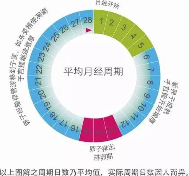 月经3天干净和7天干净的女性哪种更容易衰老？医生来揭晓答案了(图10)