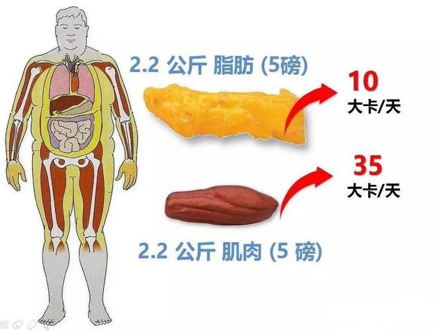 郎朗赚到了还是受骗了？吉娜18岁旧照曝光“芭比身材”骗了所有人：魔鬼身材根本不是(图24)