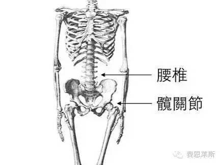 在家就能练的“功”居然治好了她多年的腰痛(图1)