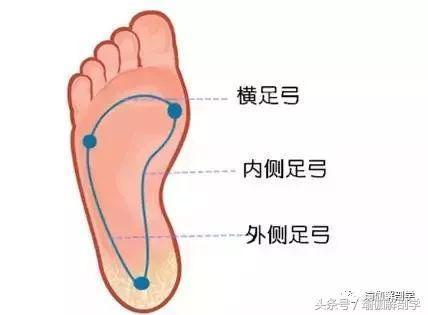 6686体育初学者都没搞懂的10个常见“瑜伽口令”你弄懂了吗？(图2)