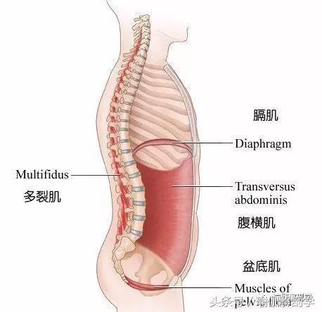 6686体育初学者都没搞懂的10个常见“瑜伽口令”你弄懂了吗？(图6)