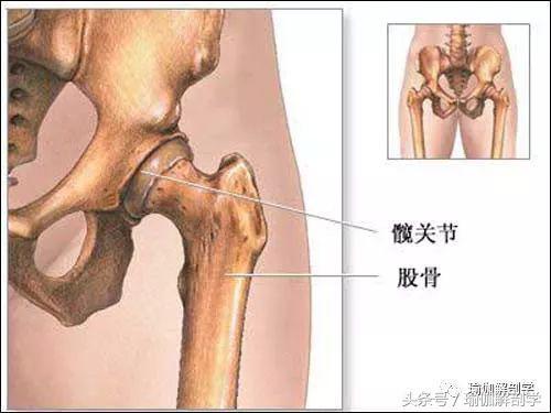 6686体育初学者都没搞懂的10个常见“瑜伽口令”你弄懂了吗？(图4)