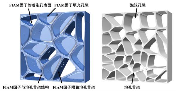 6686体育官网神奇的非牛顿流体材料——从淀粉糊到防弹衣(图11)